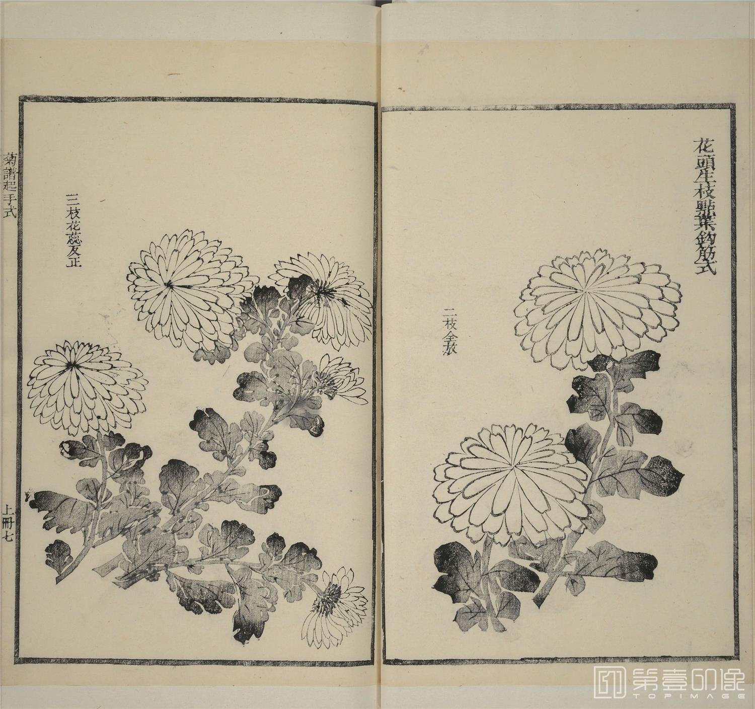 手绘-芥子园画传.二集.四卷.清嘉庆五年金陵芥子园重刊彩色套印本-189