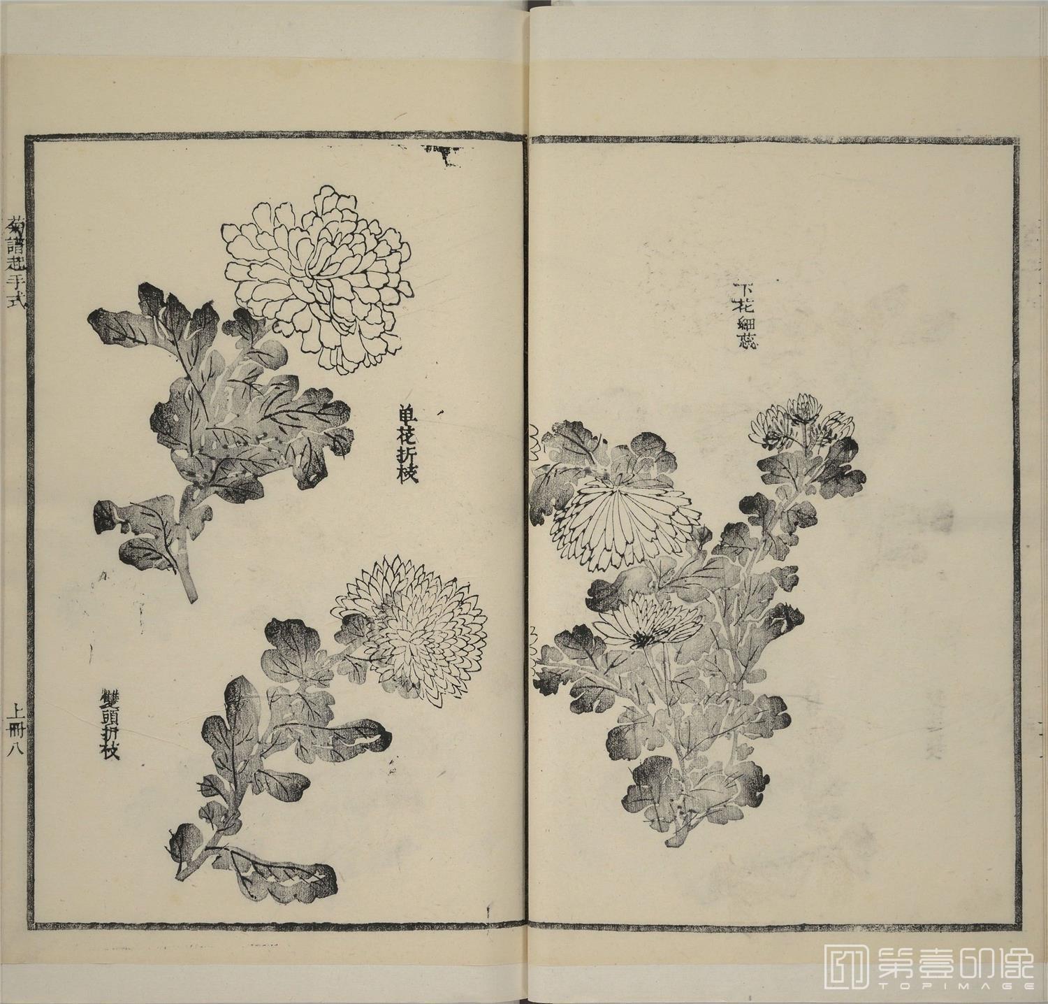 手绘-芥子园画传.二集.四卷.清嘉庆五年金陵芥子园重刊彩色套印本-190