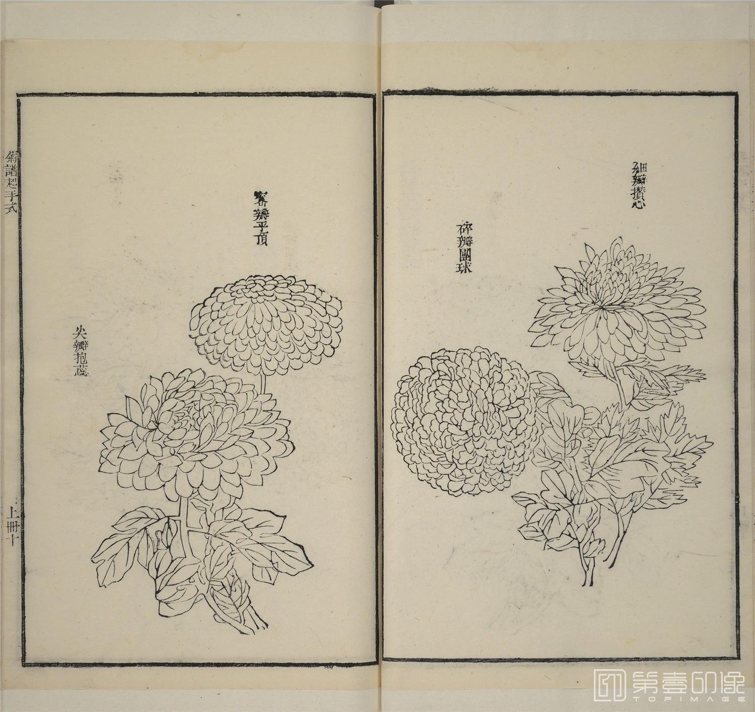 手绘-芥子园画传.二集.四卷.清嘉庆五年金陵芥子园重刊彩色套印本-192