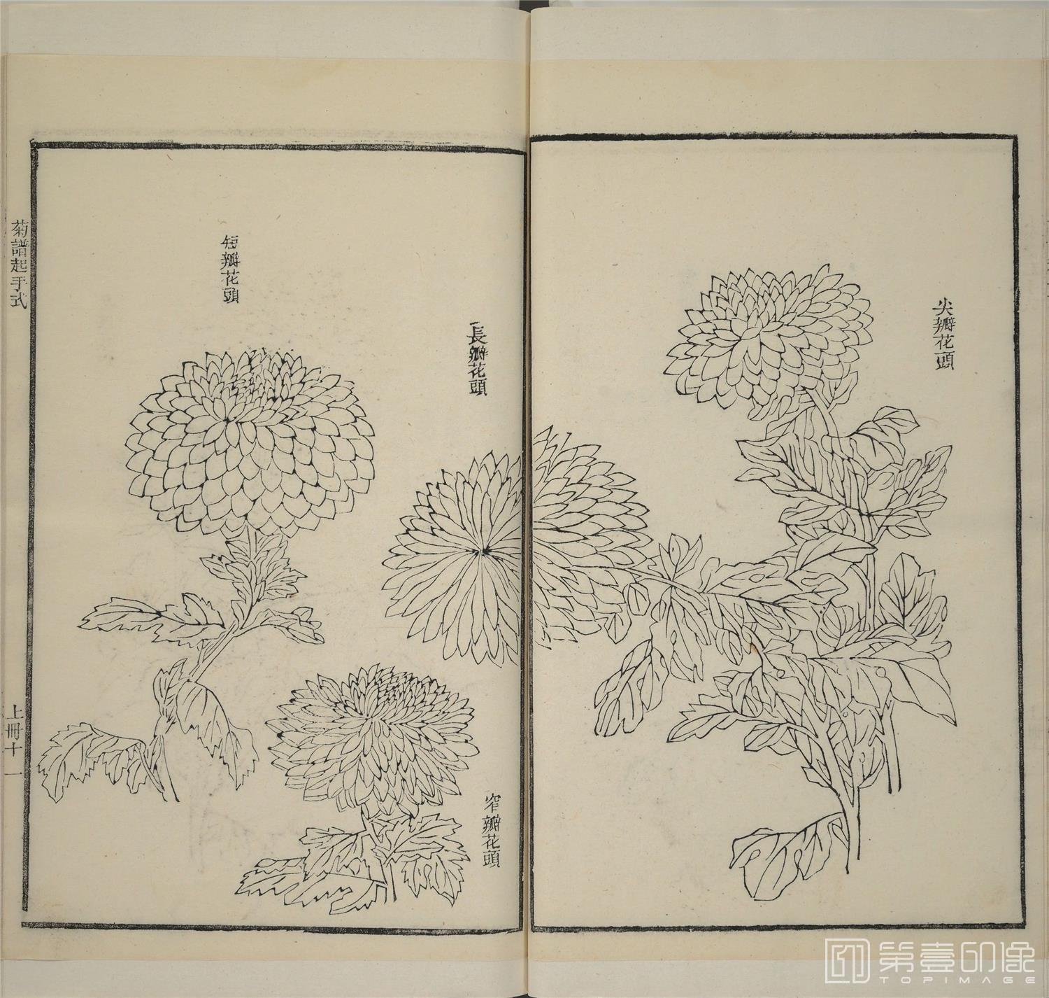 手绘-芥子园画传.二集.四卷.清嘉庆五年金陵芥子园重刊彩色套印本-193