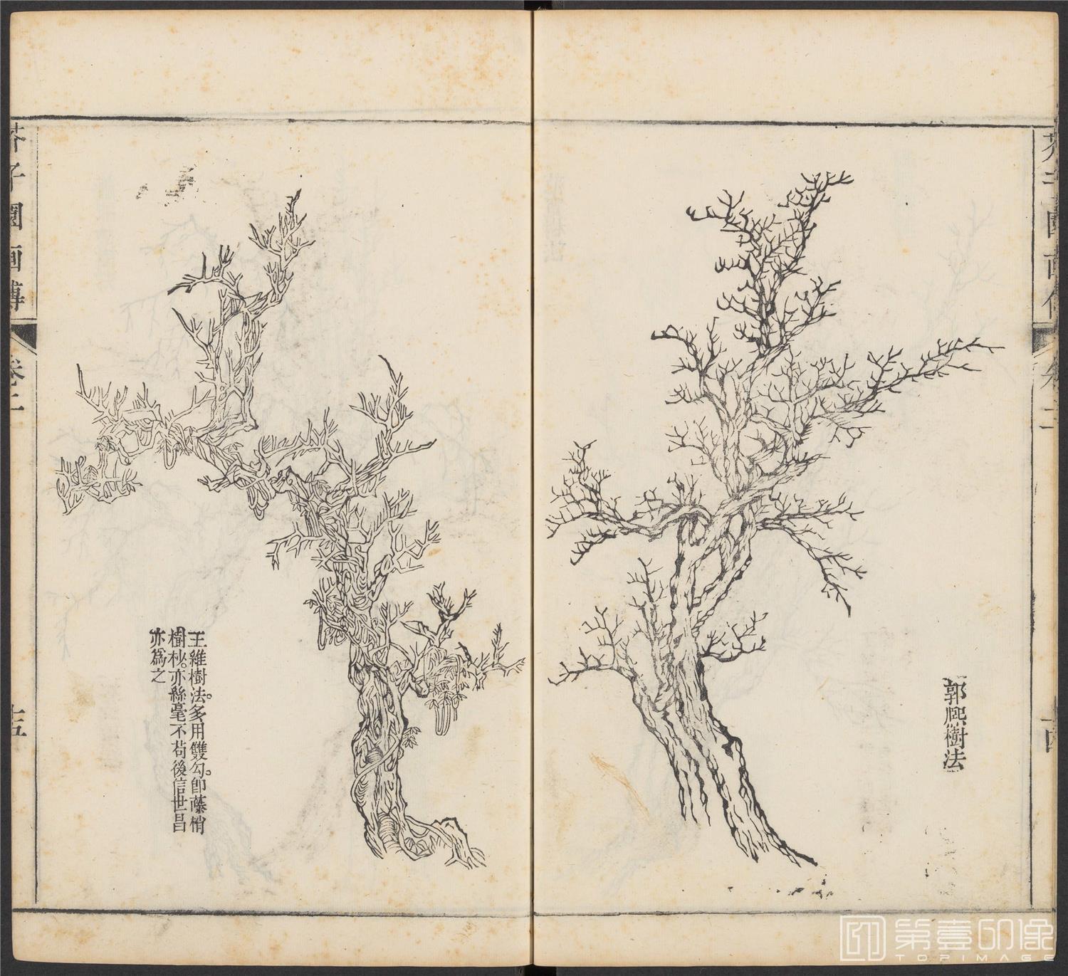 手绘-芥子园画传.初集.五卷.清康熙时期芥子园刊五色套印本-054 手绘-芥子园画传.初集.五卷.清康熙时期芥子园刊五色套印本-054