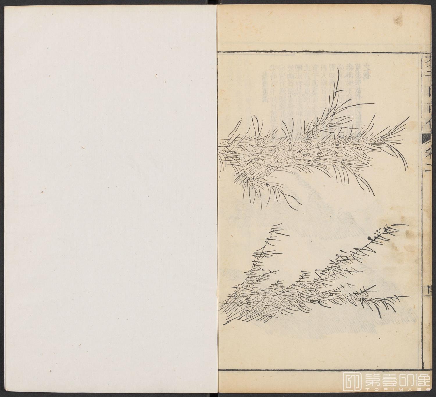 手绘-芥子园画传.初集.五卷.清康熙时期芥子园刊五色套印本-080 手绘-芥子园画传.初集.五卷.清康熙时期芥子园刊五色套印本-080