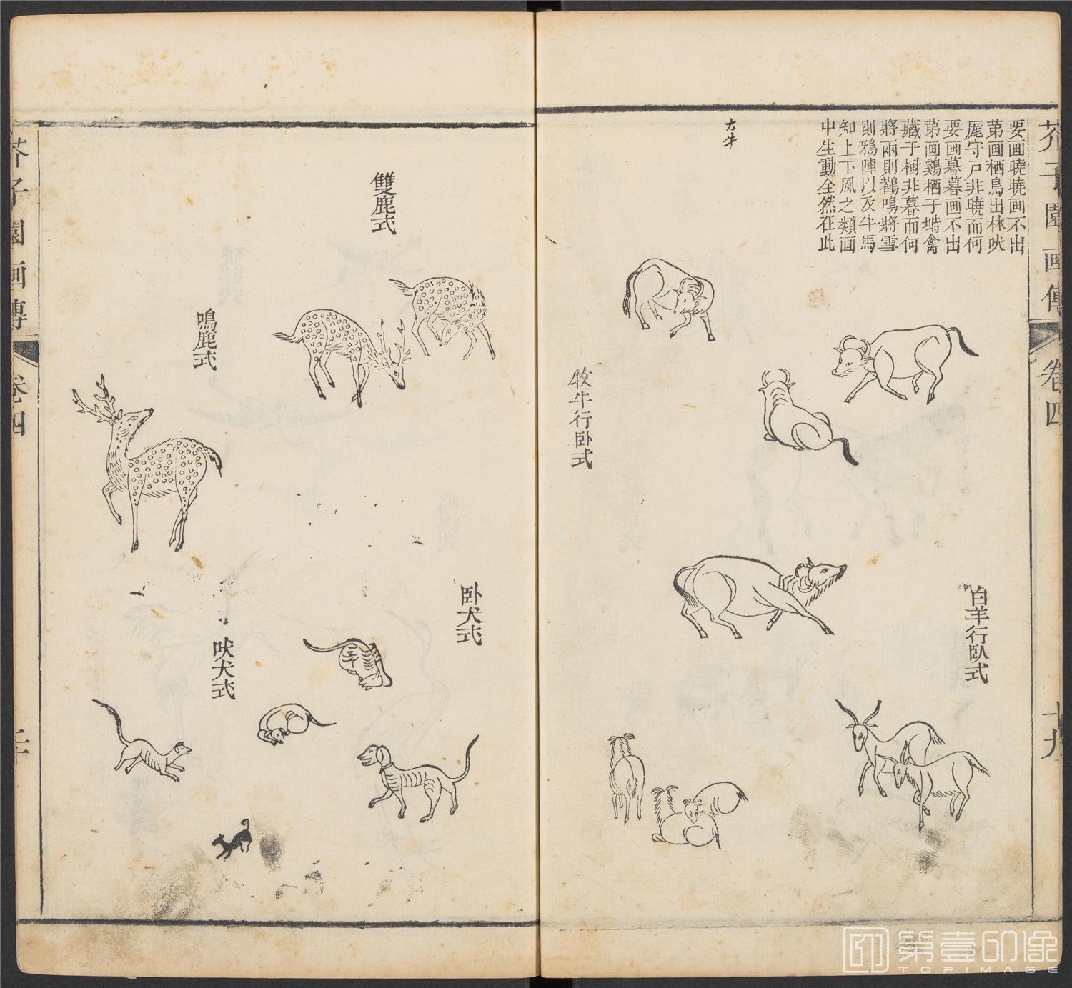 手绘-芥子园画传.初集.五卷.清康熙时期芥子园刊五色套印本-161
