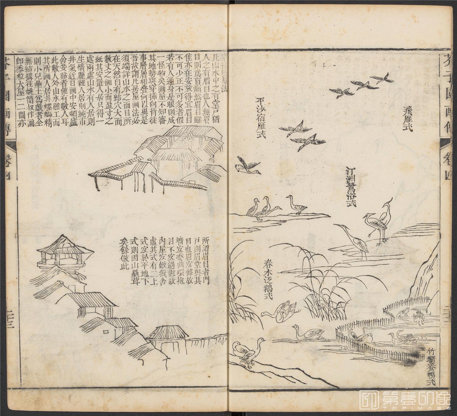 手绘-芥子园画传.初集.五卷.清康熙时期芥子园刊五色套印本-164 手绘-芥子园画传.初集.五卷.清康熙时期芥子园刊五色套印本-164