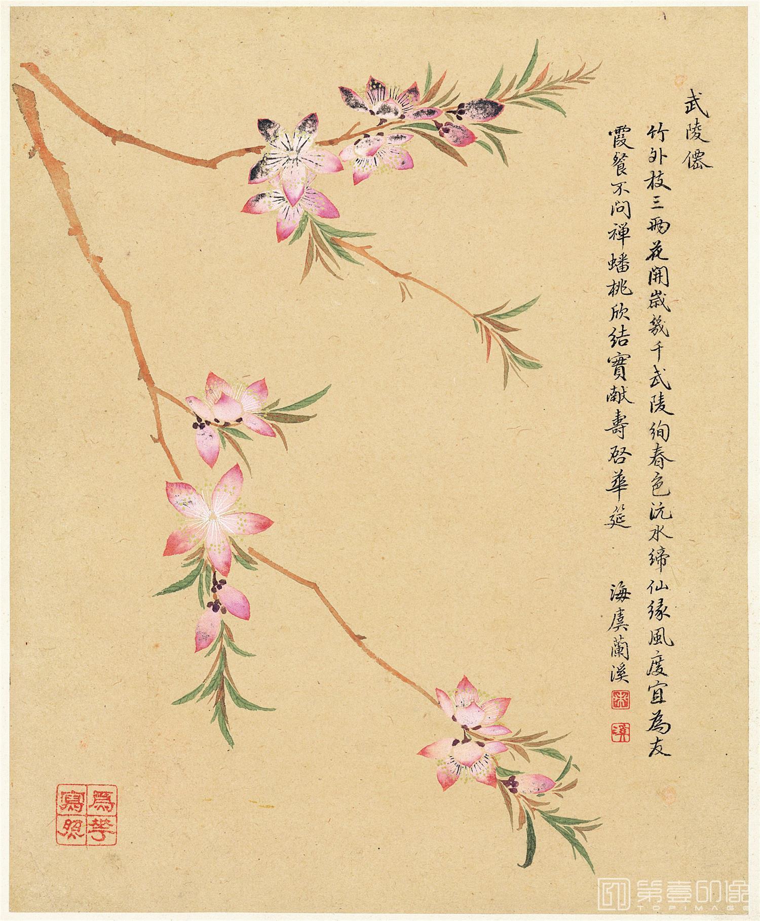 水彩画-花卉八开-3-桃花 26x32