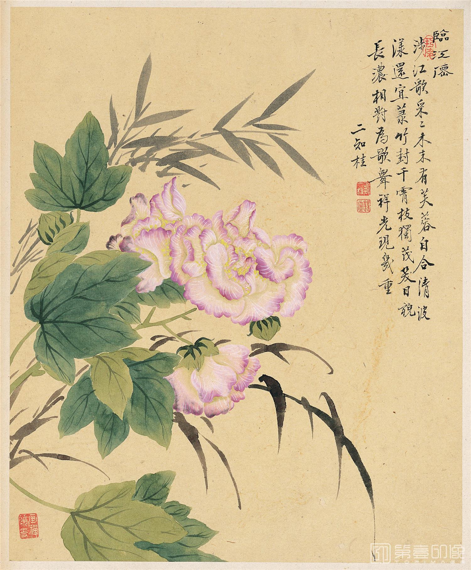 水彩画-花卉八开-6-芙蓉竹子图 26x32