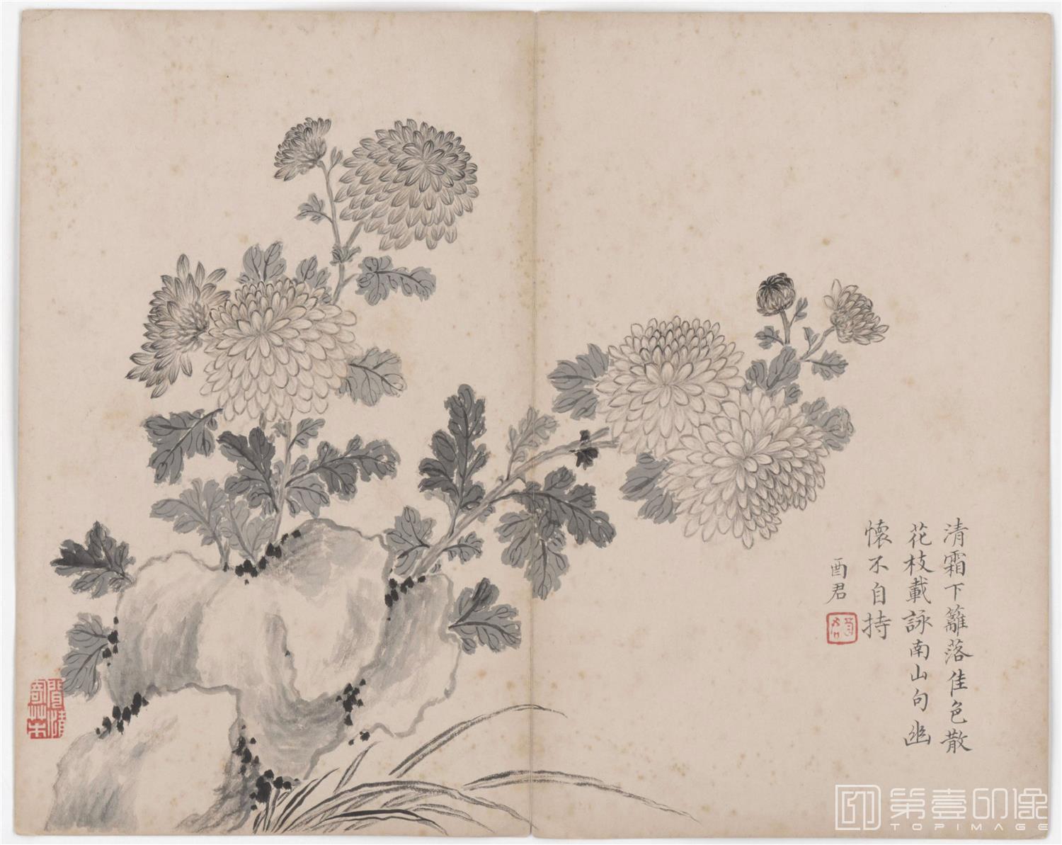 手绘-花卉册12帧-24 27.5x34.6cm