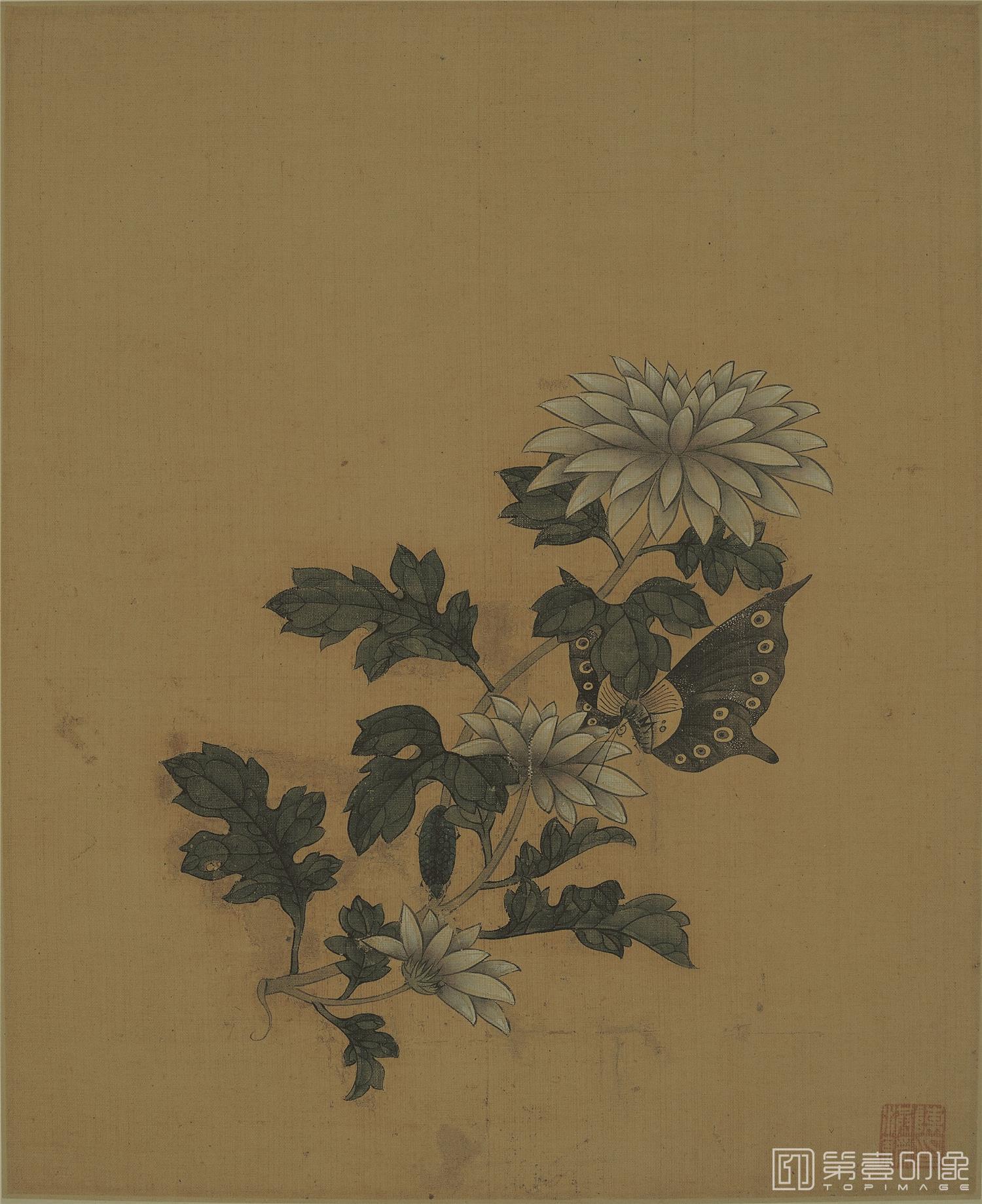 手绘-花鸟册 (唐云题)-003
