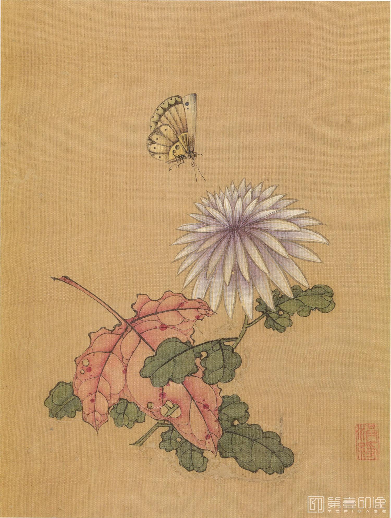 水彩画-花鸟册-008