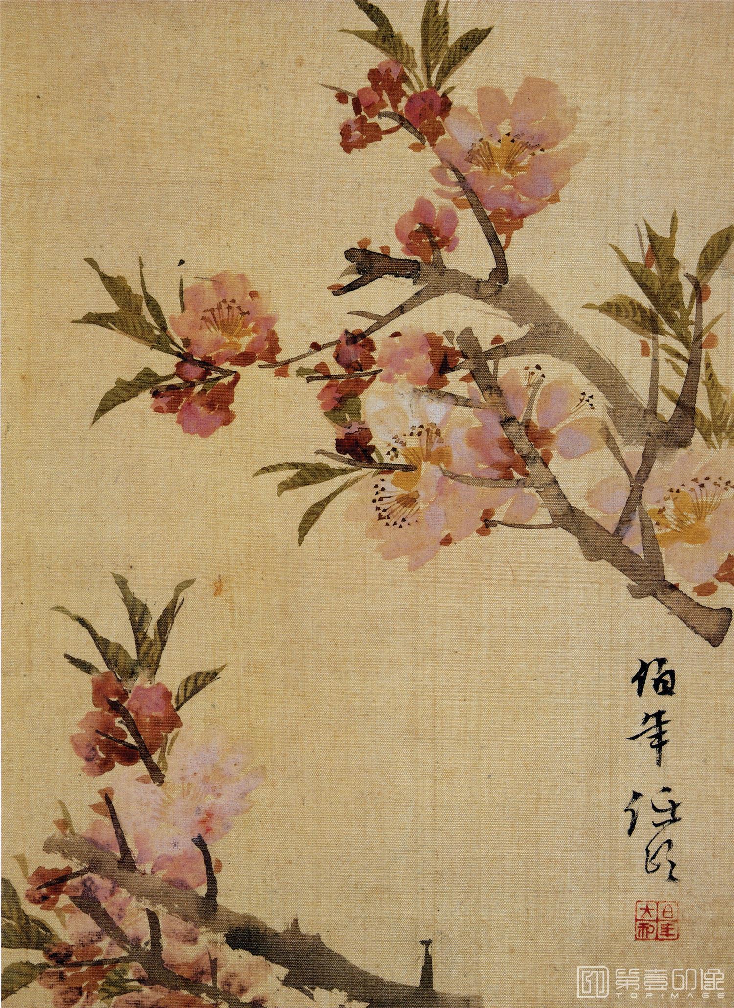 水彩画-花鸟图册-册页01