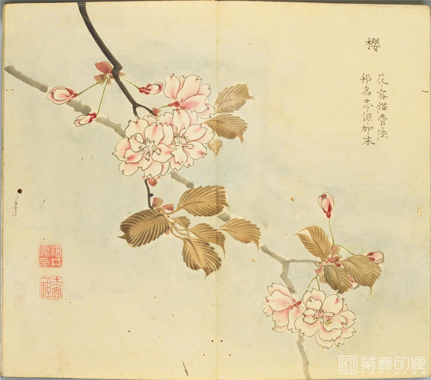 水彩画-细井徇撰 诗经名物图解.高清.十贴.细井徇撰绘.弘化4年自序-248