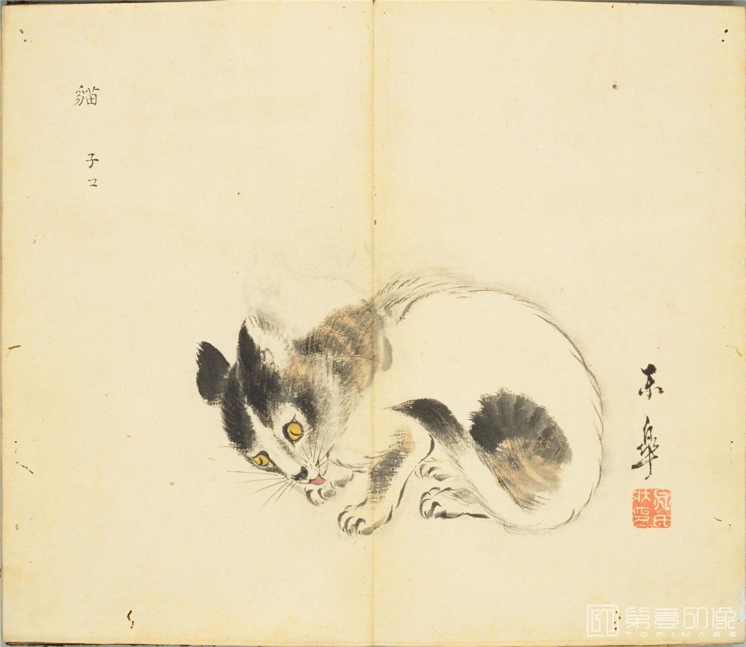水彩画-细井徇撰 诗经名物图解.高清.十贴.细井徇撰绘.弘化4年自序-387