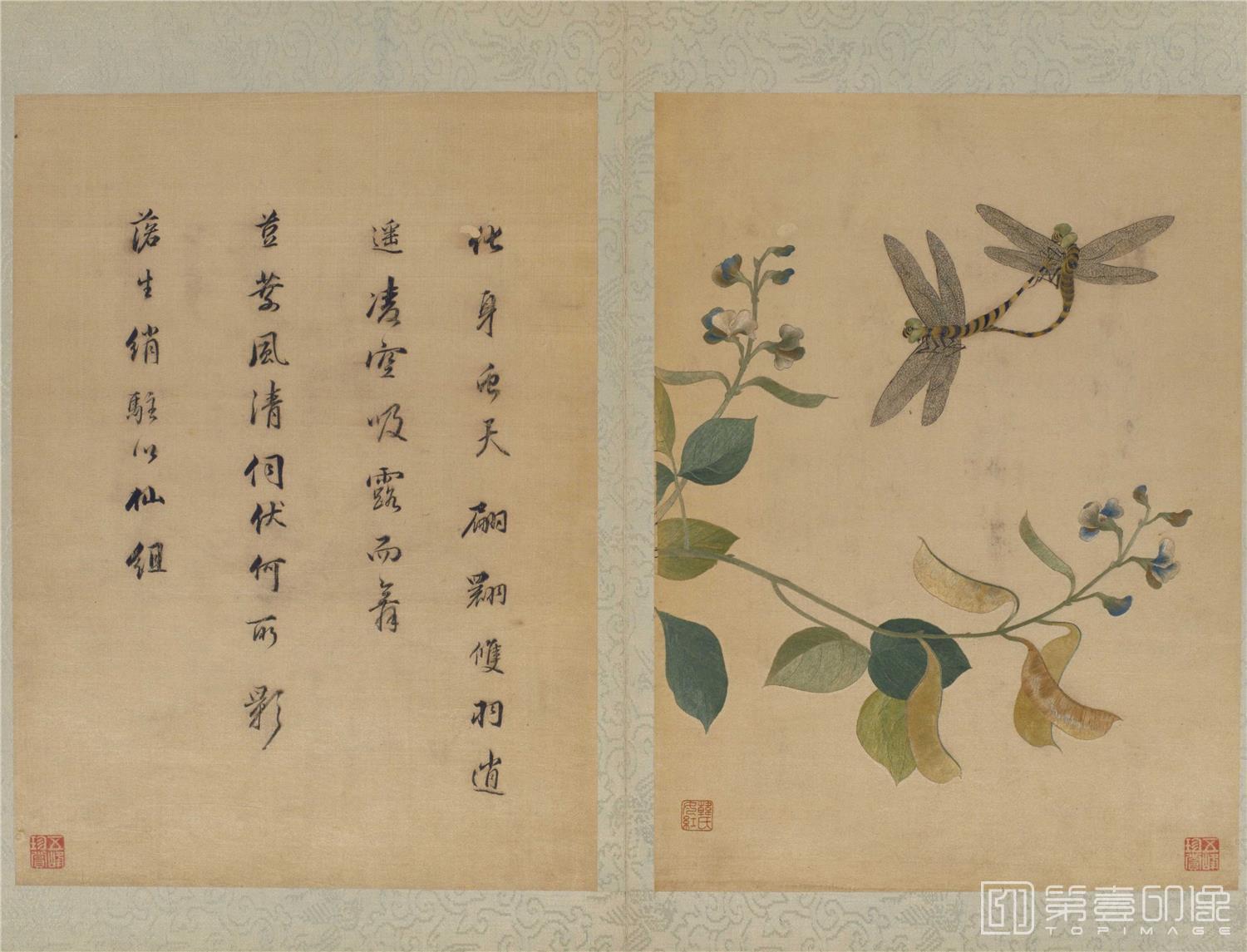 手绘-宋元名迹册 (顾绣)6张- 韩希孟绣宋元名迹册·扁豆蜻蜓图