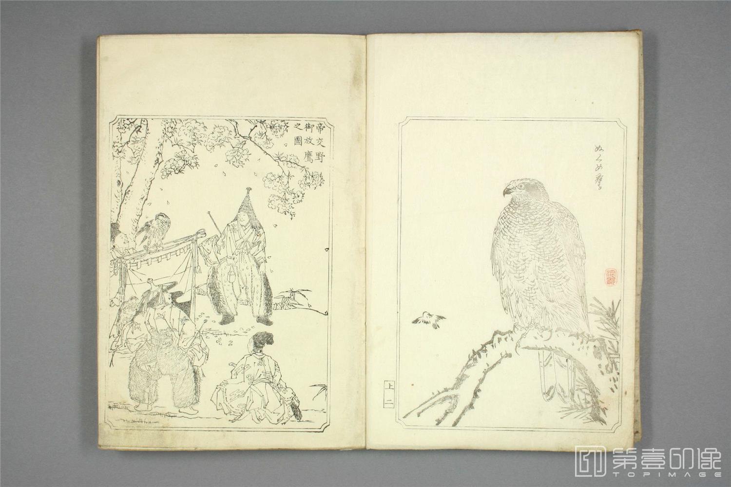 手绘-鹰镜.河锅晓斋.文久二年.1862年-004