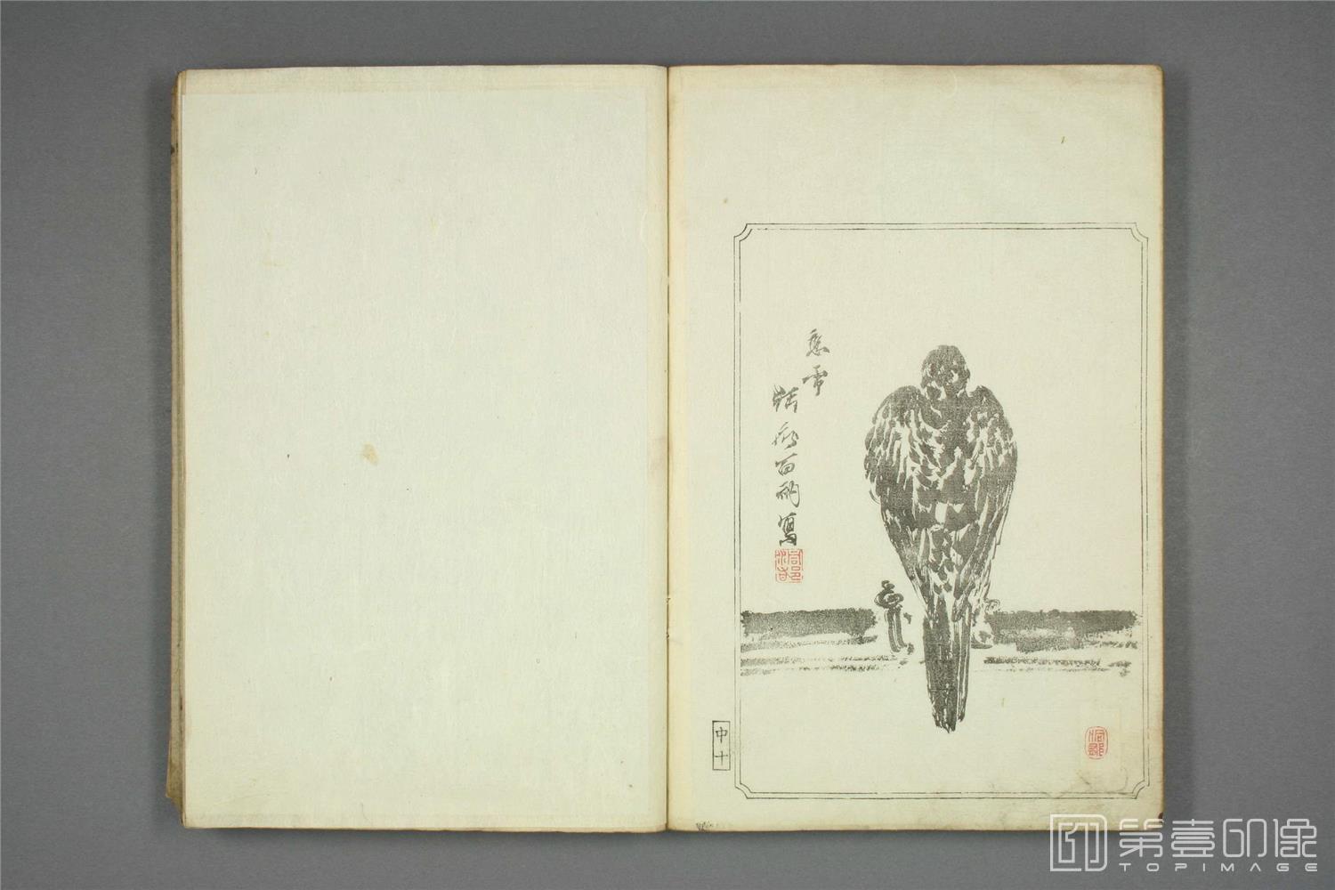 手绘-鹰镜.河锅晓斋.文久二年.1862年-023