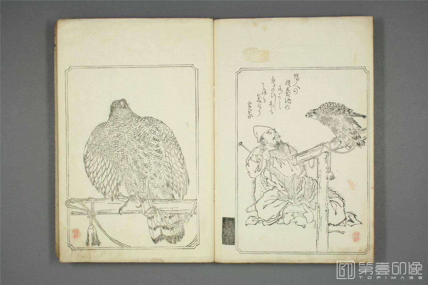 手绘-鹰镜.河锅晓斋.文久二年.1862年-030