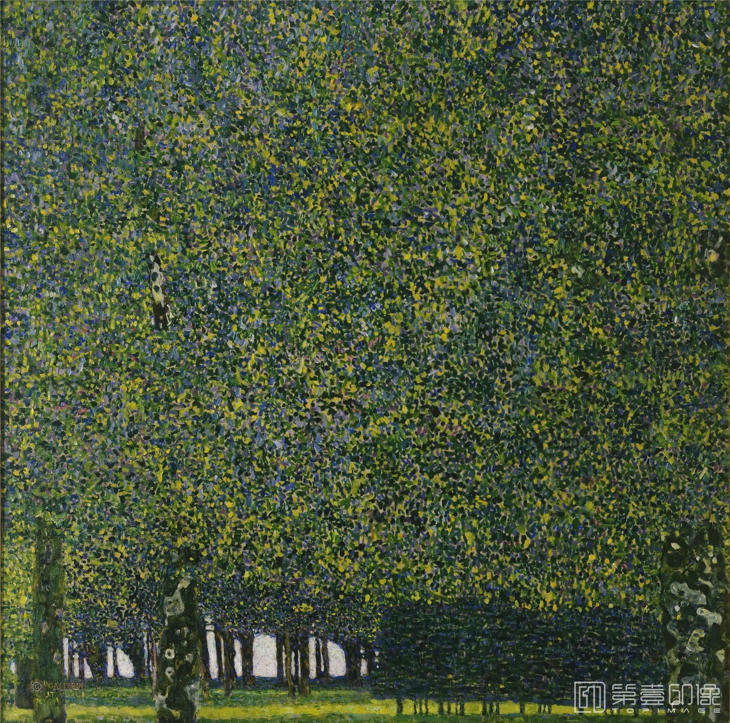 油画-古斯塔夫·克里姆特 Gustav Klimt作品集-77