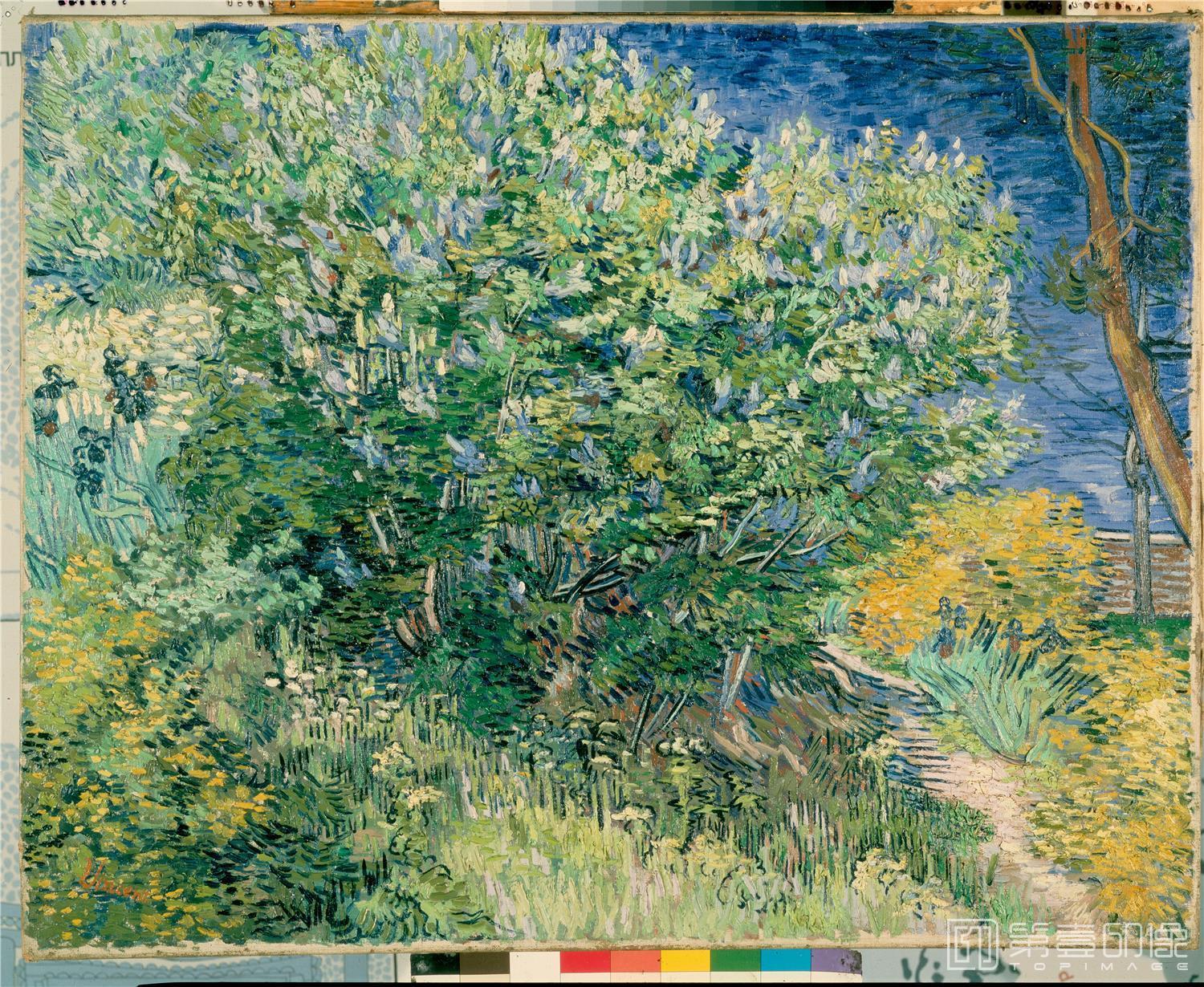 油画-文森特·威廉·梵高 Vincent Willem van Gogh-Gogh,-Vincent-van-Lilac-Bush-126
