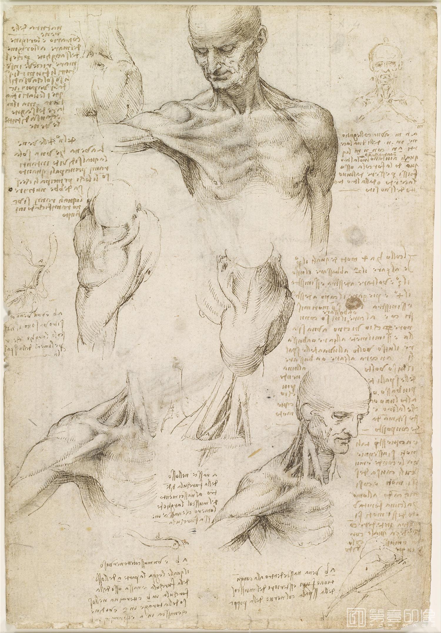 素描-列奥纳多·迪·皮耶罗·达·芬奇 Leonardo Di Ser Piero Da Vinci作品集-029