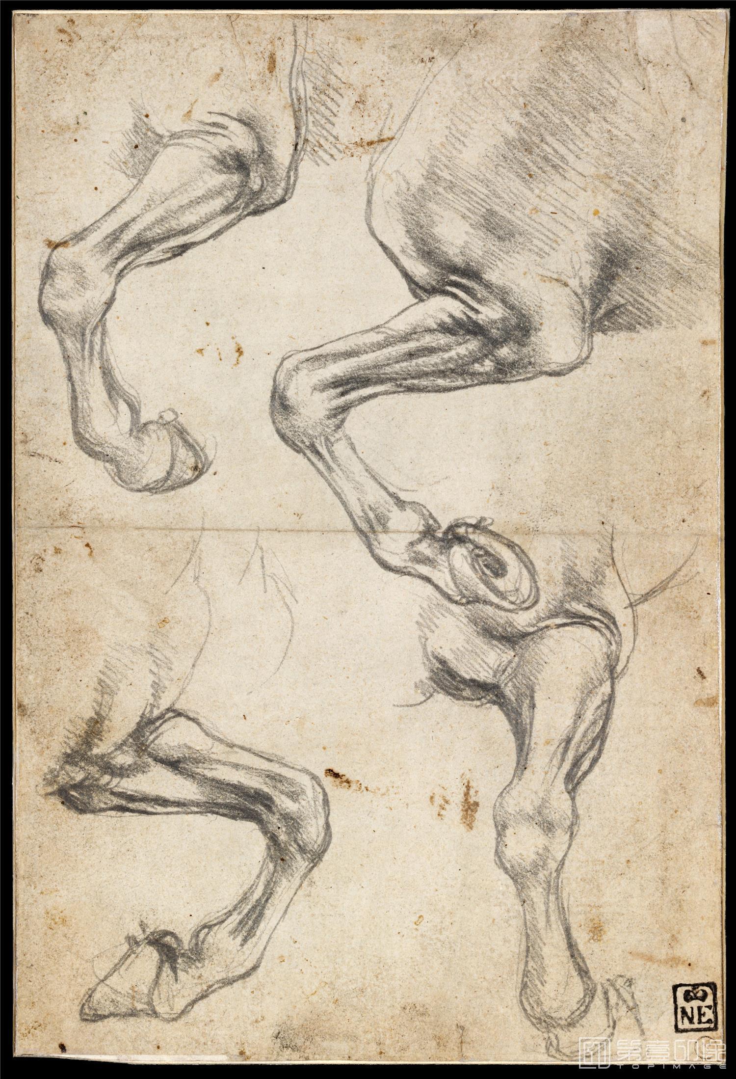 素描-列奥纳多·迪·皮耶罗·达·芬奇 Leonardo Di Ser Piero Da Vinci作品集-040