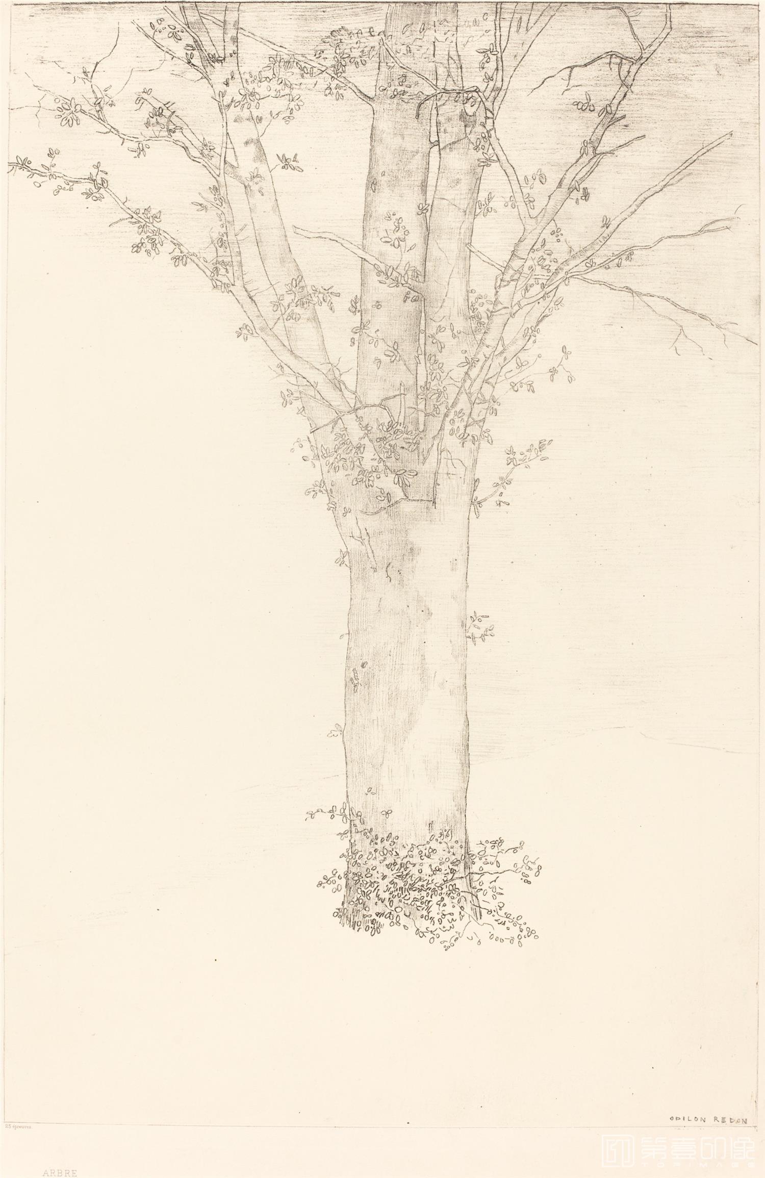 素描-奥蒂诺·雷东 Odilon Redon作品集-220