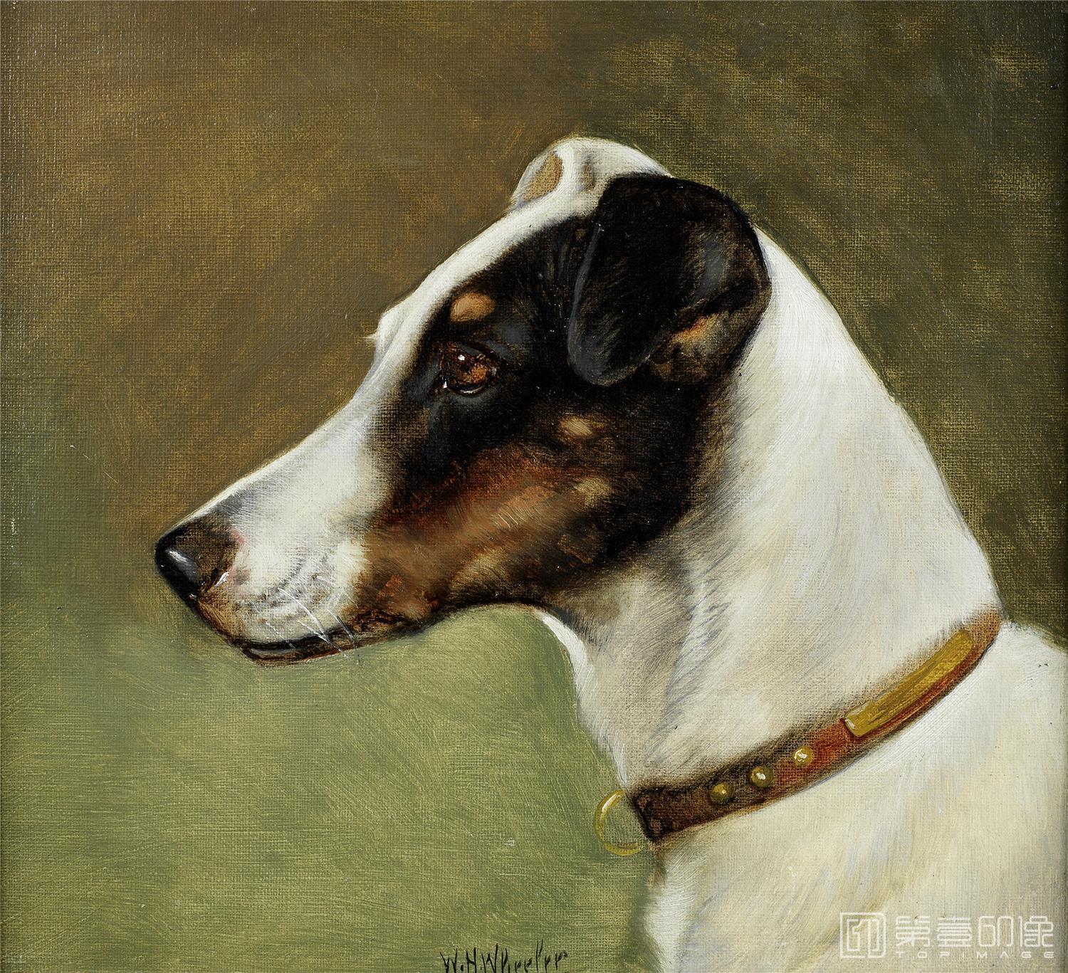 油画-犬题材油画图-73