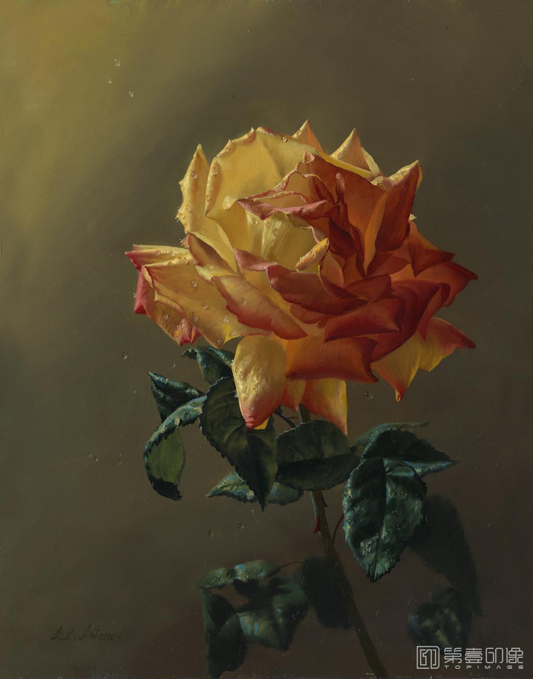 油画-花之王者-古典花卉油画集-391