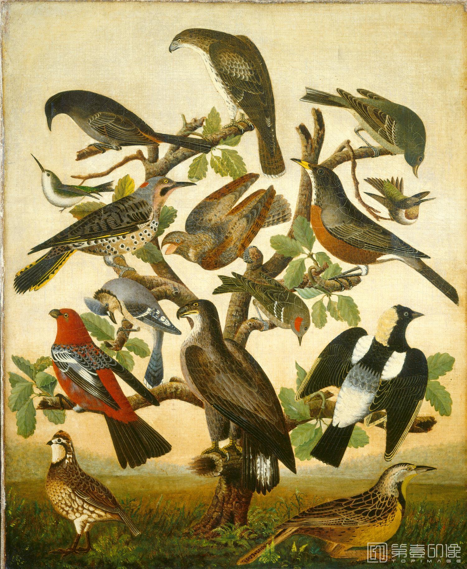 油画-美国华盛顿国立美术馆油画藏画-0975