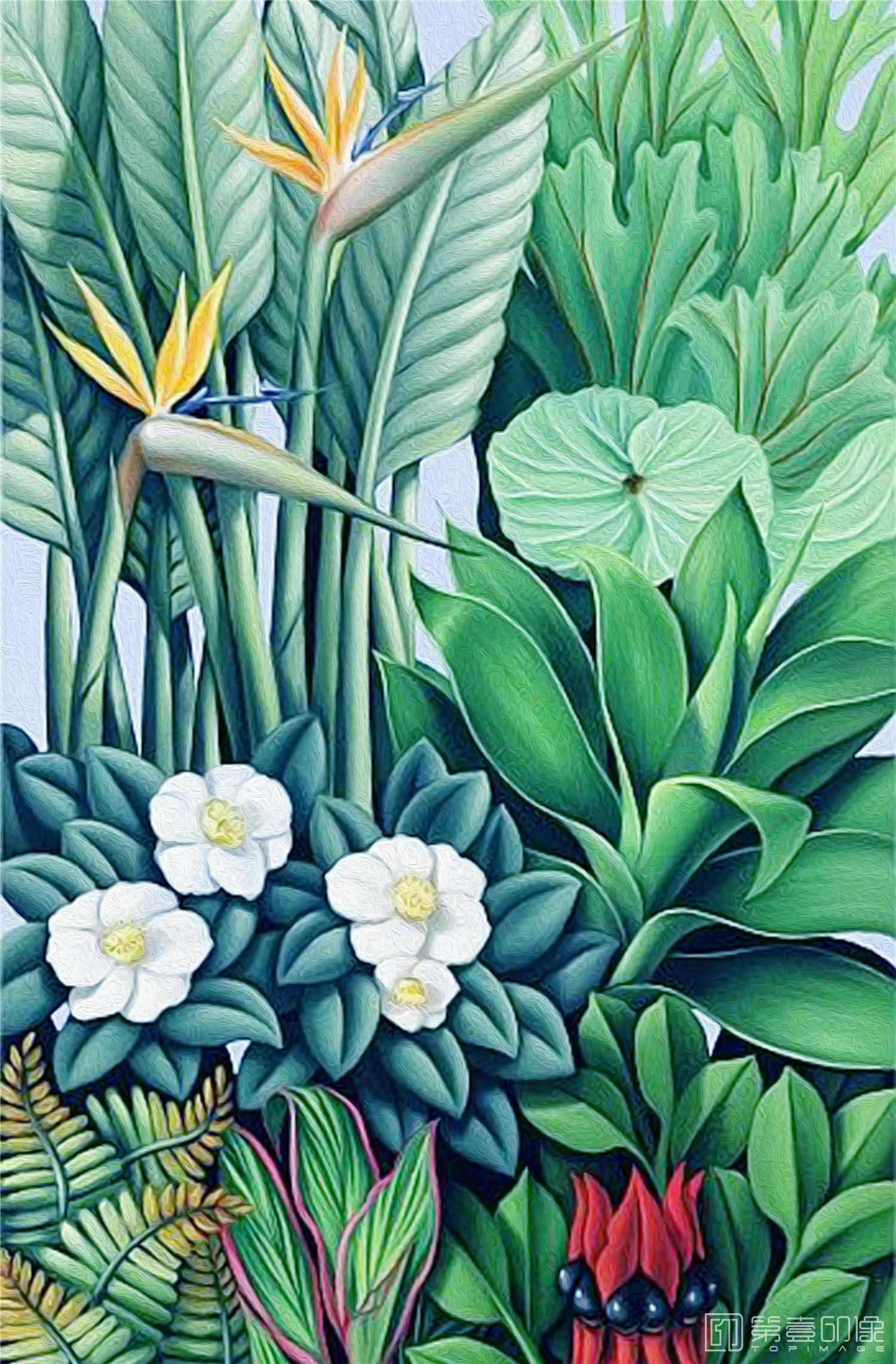水彩画-热带植物油画-03