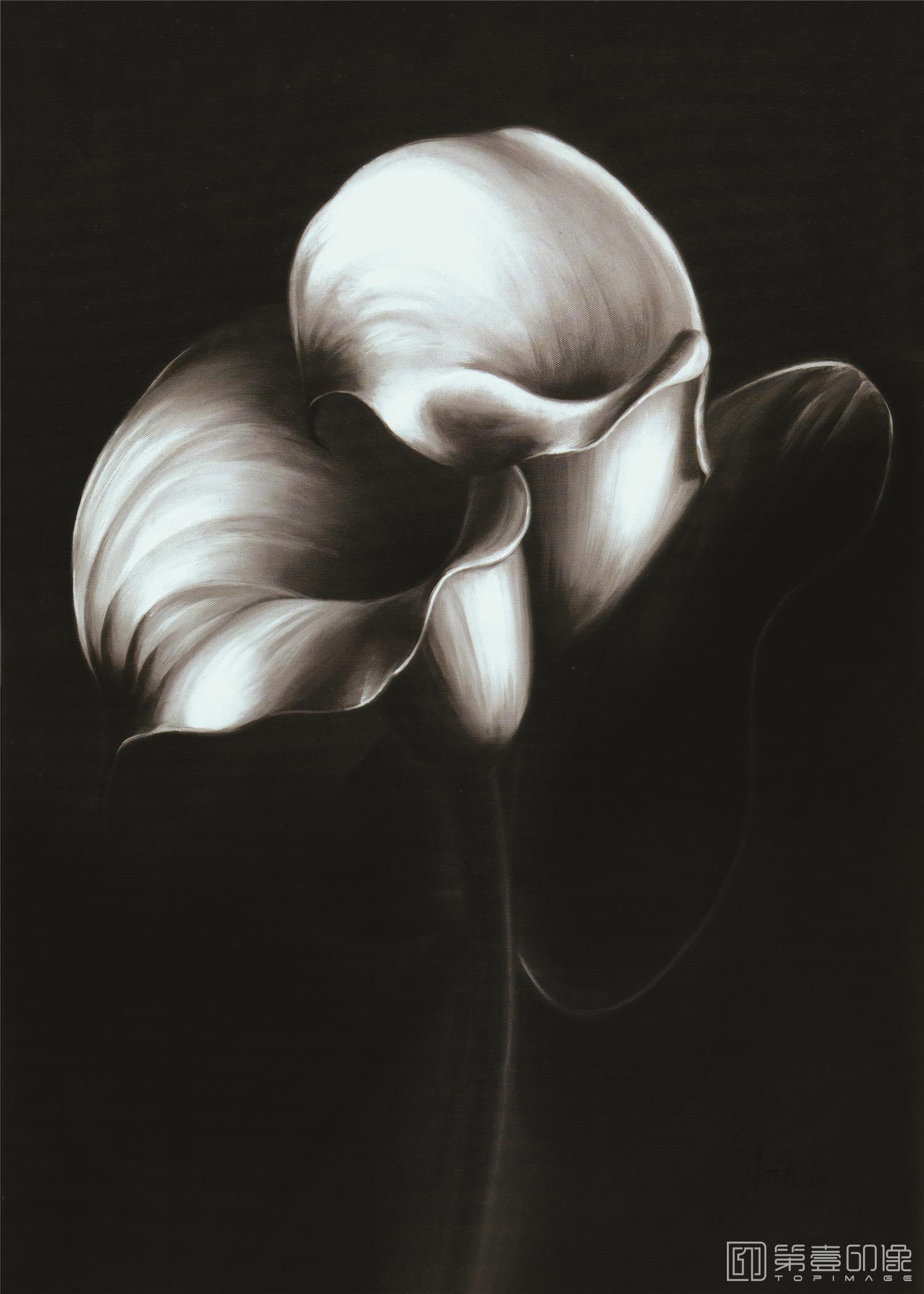 水粉画-