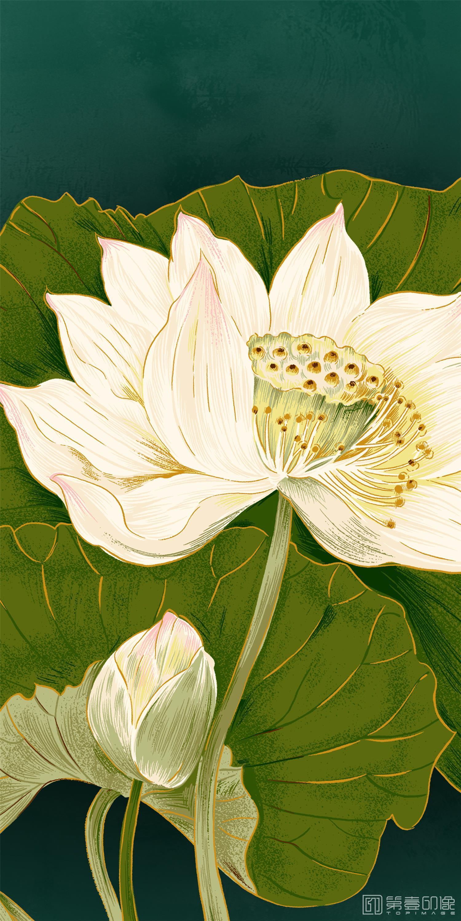 水彩画-素格锦饰图集-2636