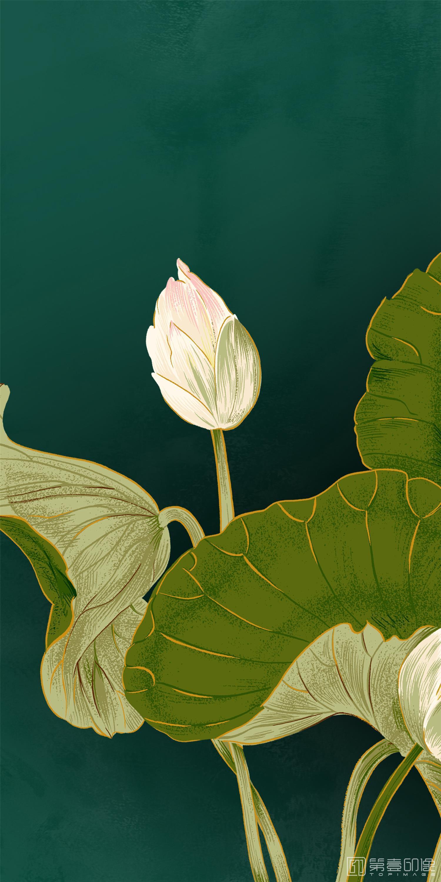水彩画-素格锦饰图集-2638