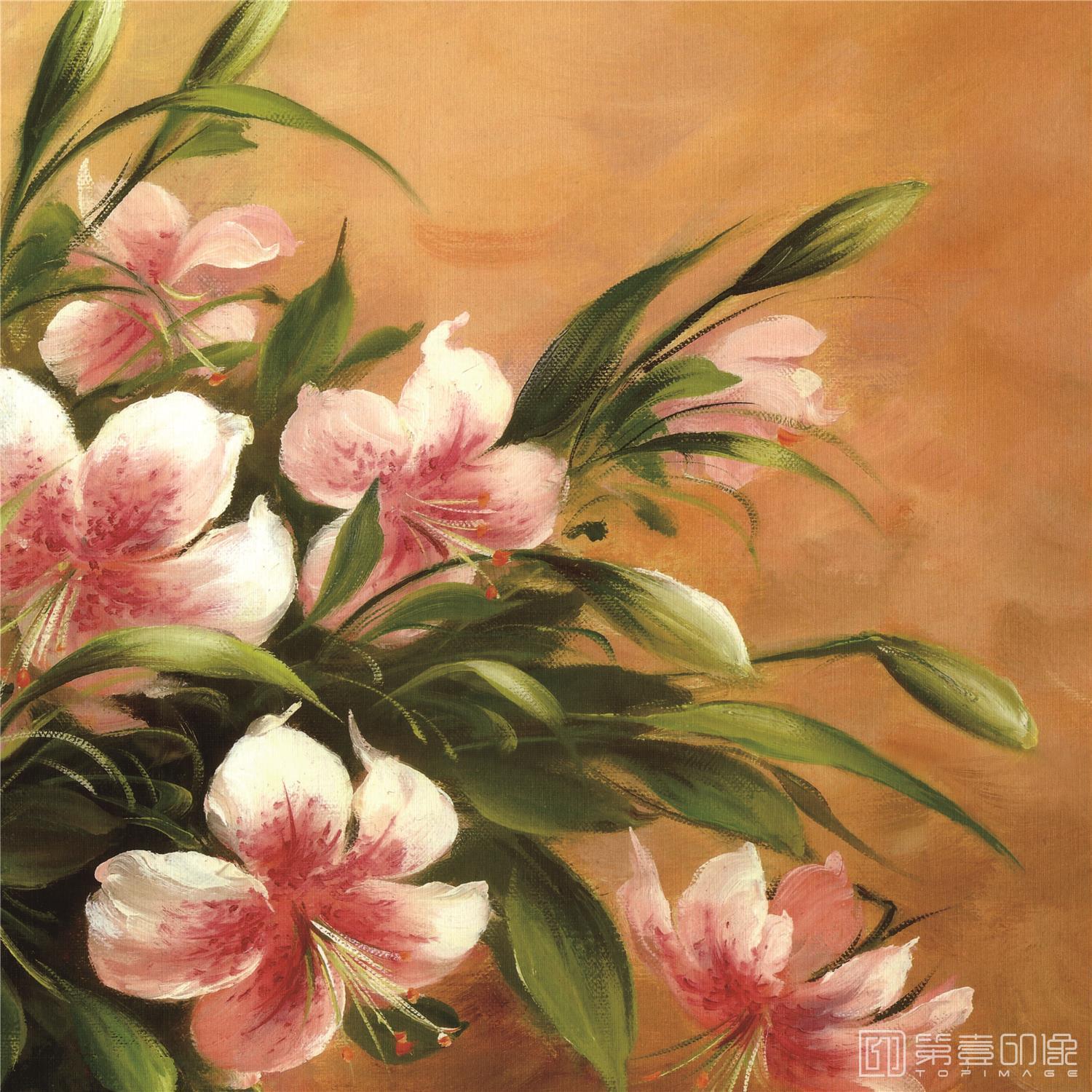 水彩画-素格锦饰图集-3042