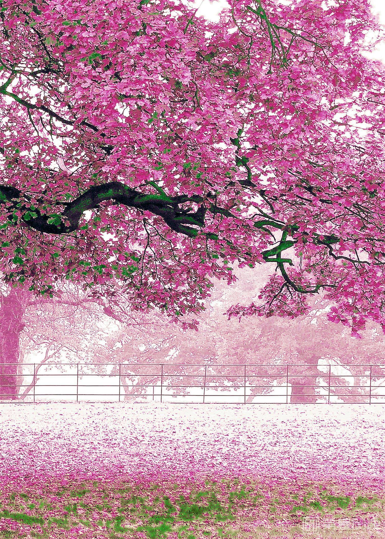 水彩画-装饰画图集-066