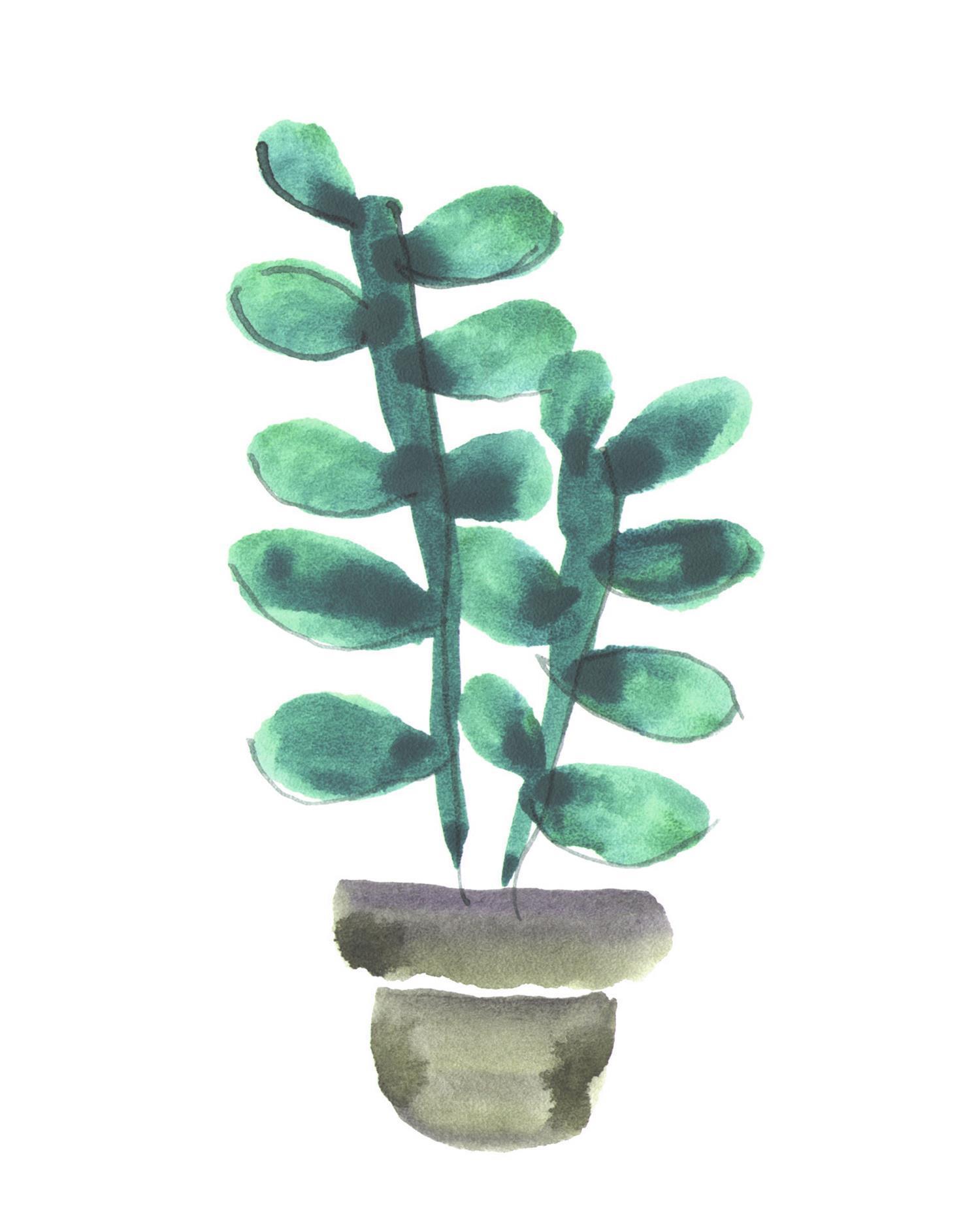 水粉画-精品装饰画高清图集-096