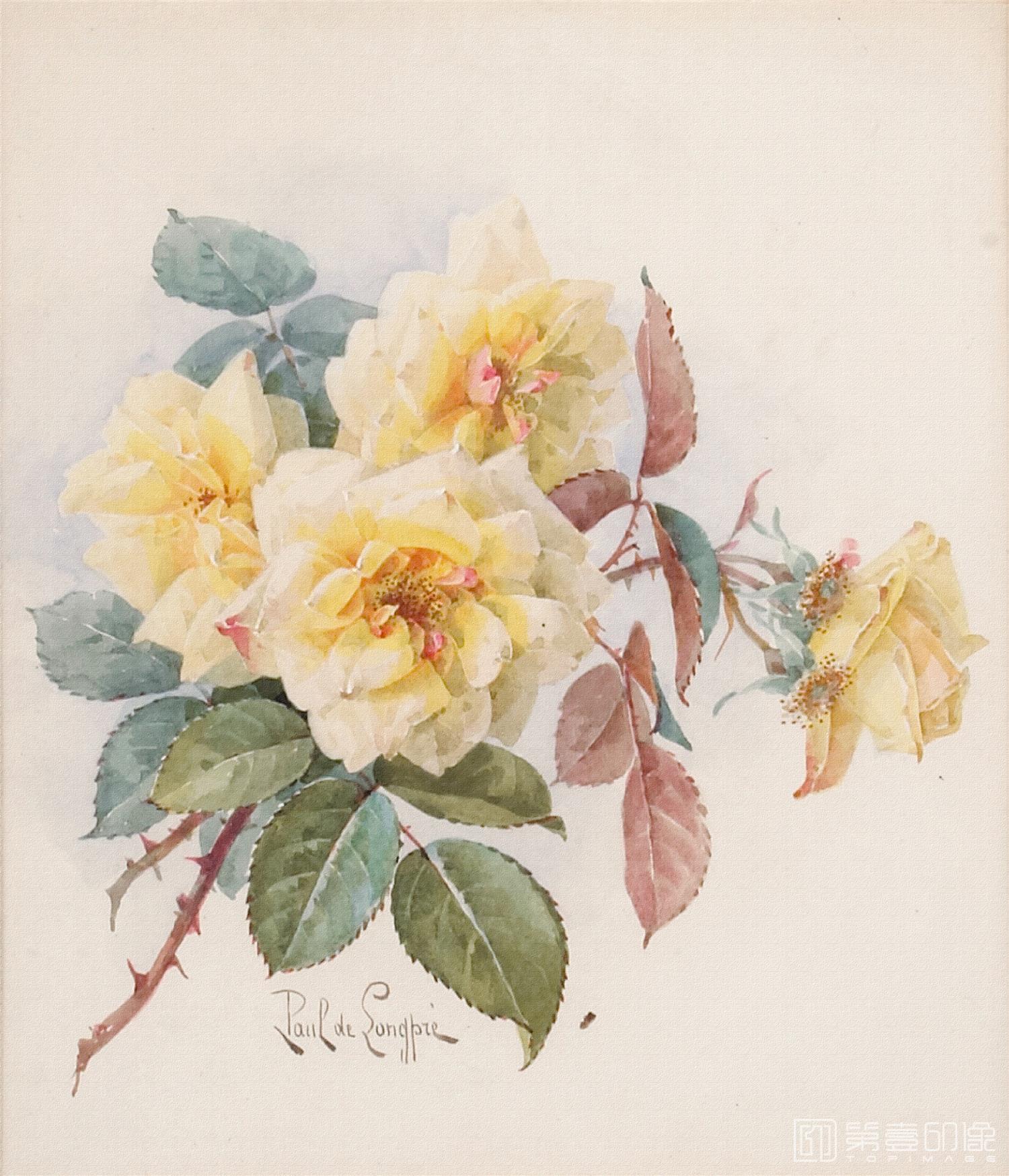 水彩画-花鸟图画合集-006