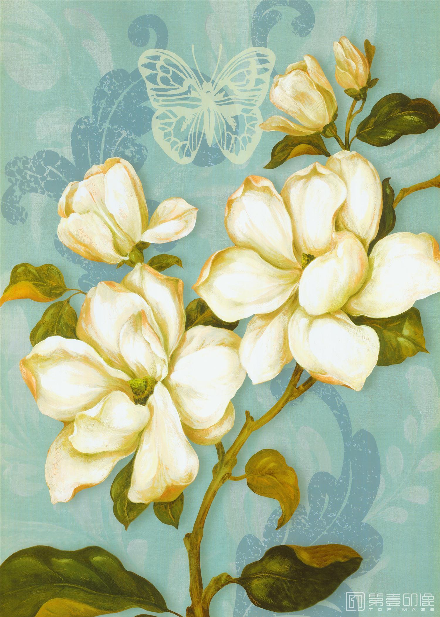水彩画-花鸟图画合集-015