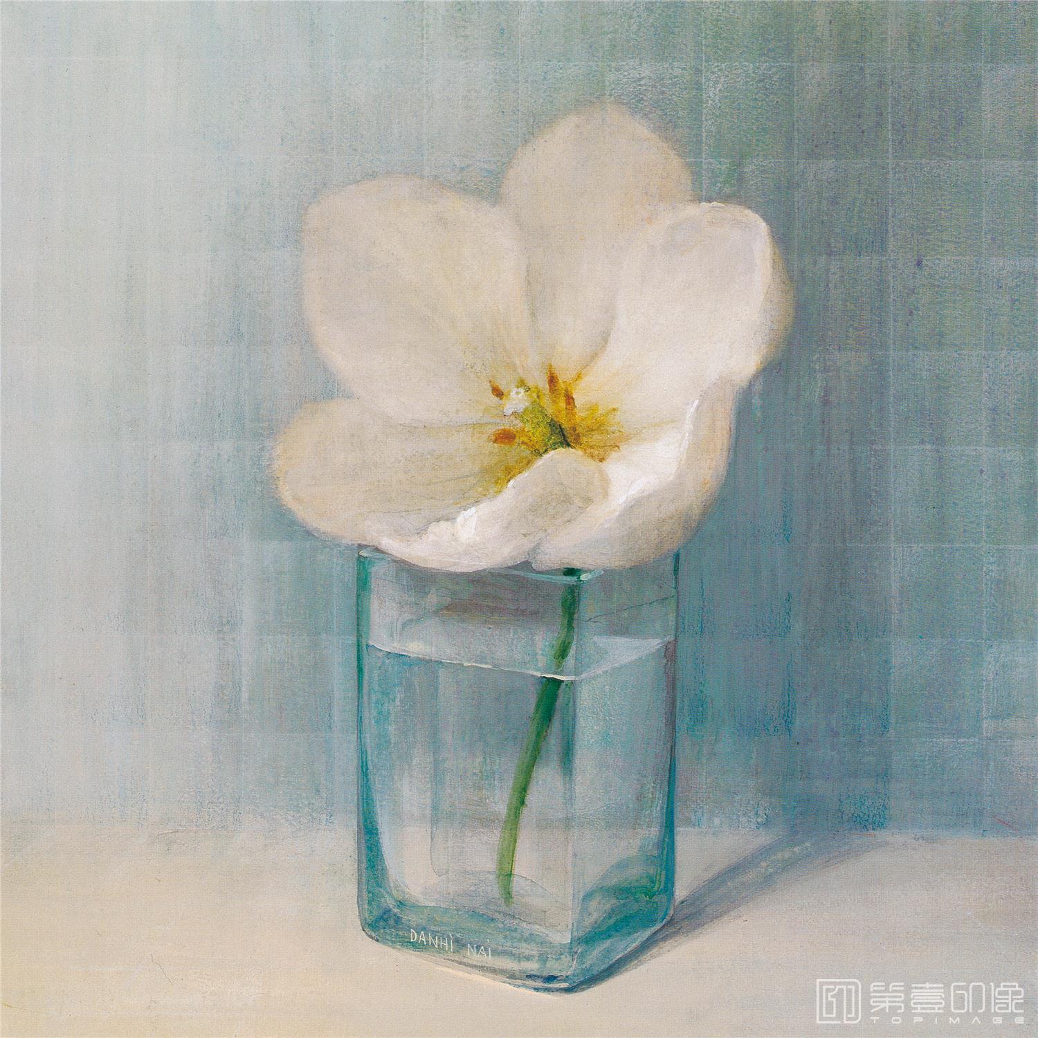 水彩画-花鸟图画合集-069