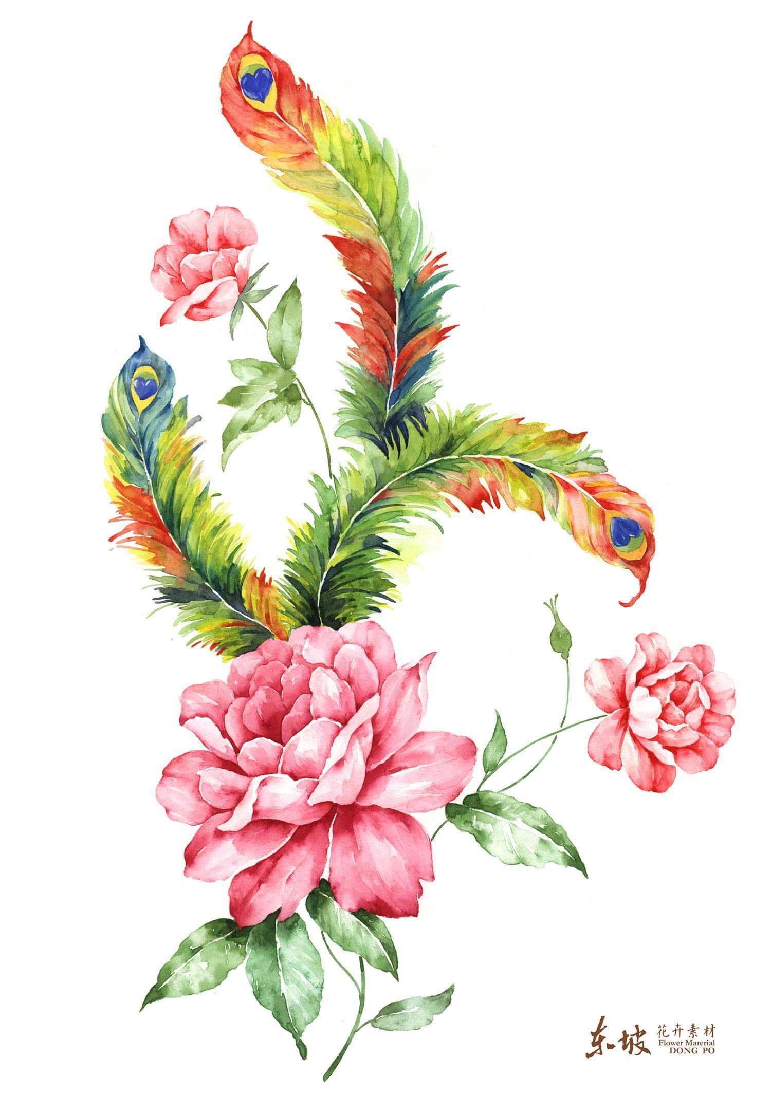 水彩画-羽毛的故事-16