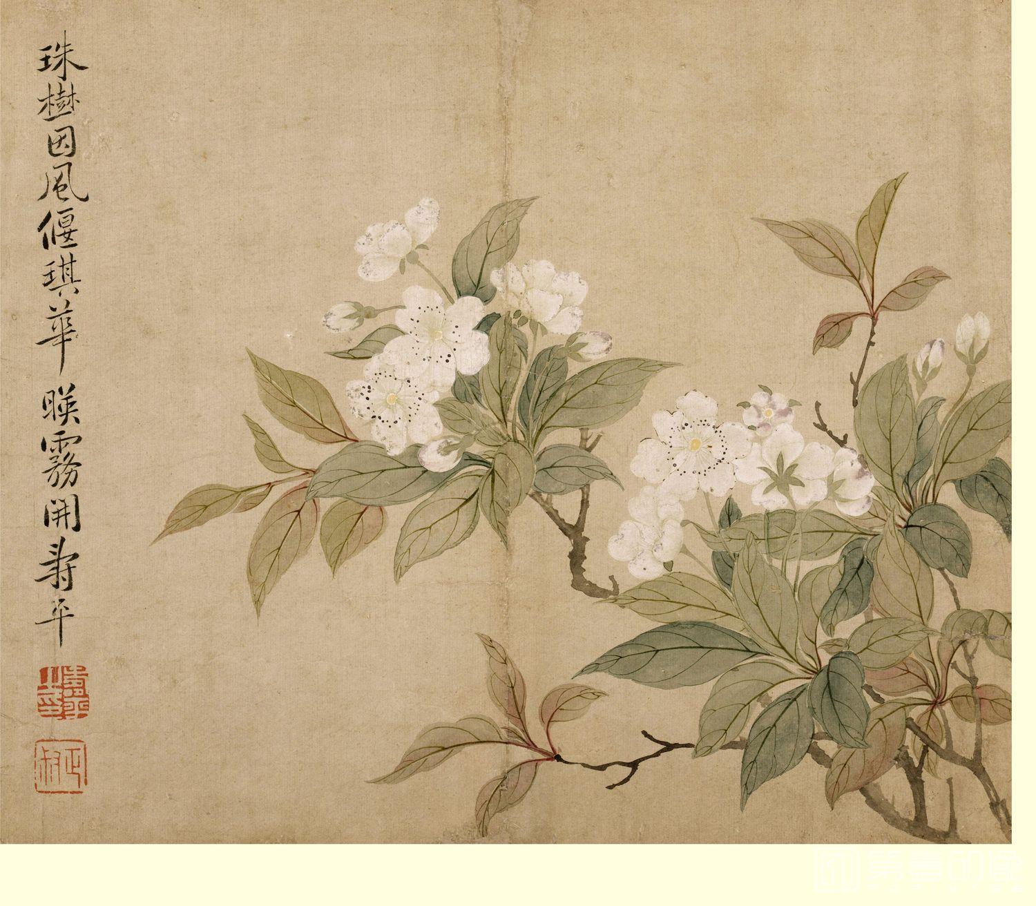 老翁 花卉圖 故宮精品網路商城- B4圖卡-畫花卉蝴蝶花遍地錦